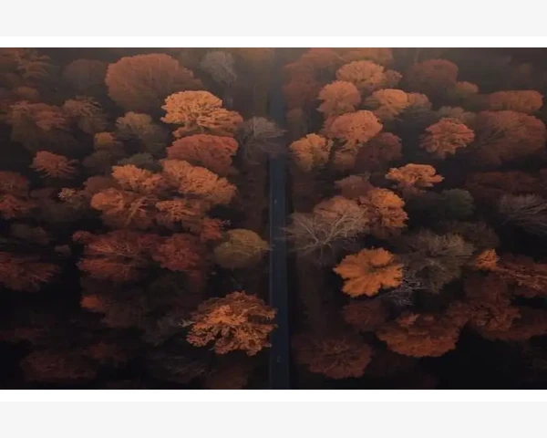 MT4功能异常无法打开的常见原因与处理方法_多账户与多终端的安装规划