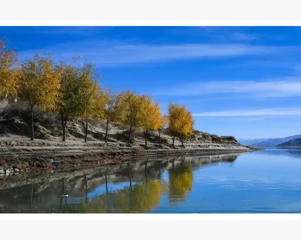 全国二手车B2B平台运作全流程揭秘_费率优化与成本控制实操