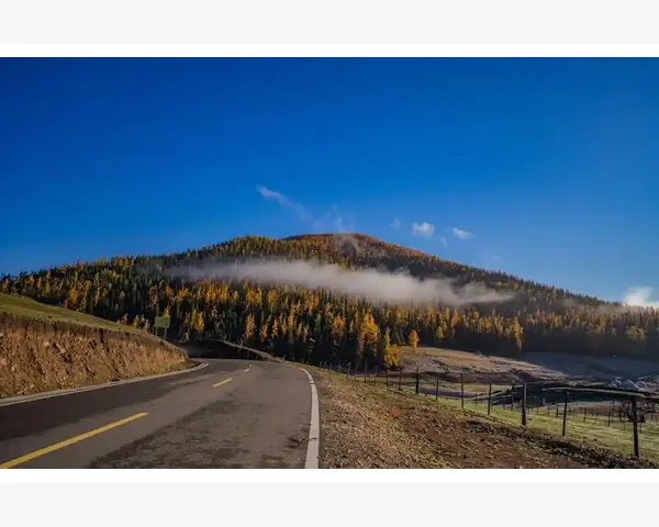 企业级功能模块的完整性_活性炭B2B平台选型与高效运营实战