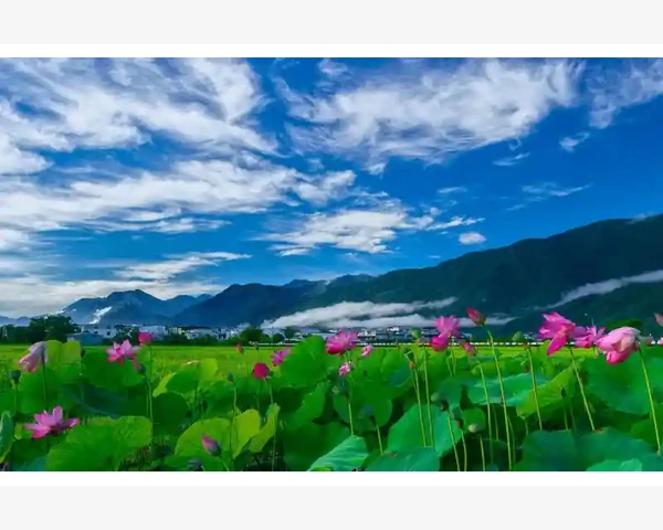 B2B营销实战落地方案与获客技巧_跨境B2B平台:连接全球的贸易桥梁