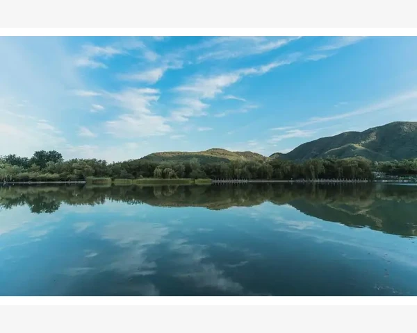 钢铁B2B平台实战操作与选型要点_掌握发布频率和时间节点