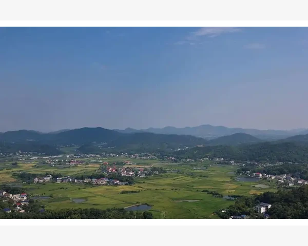 MT4全局变量重启即失的持久化保存方案_系统层面的干扰因素不容忽视