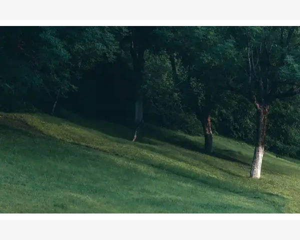 B2B企业获客新打法实战技巧_功能定制:让B2B平台更贴合你的业务模式