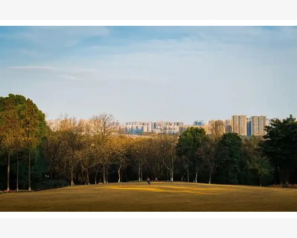 工业自动化编程巧搭B2B快车升级工厂设备_对线上交易的天然不信任