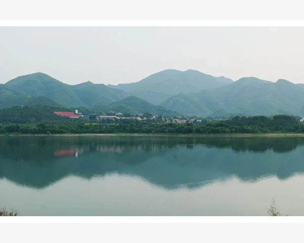 MT4模拟订单无法成交原因排查与解决思路